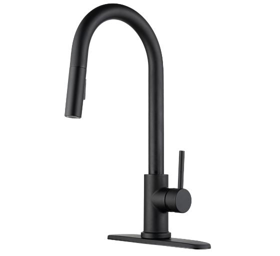 Dura Faucet  DF-NMK540-MB Kitchen faucet Matte Black